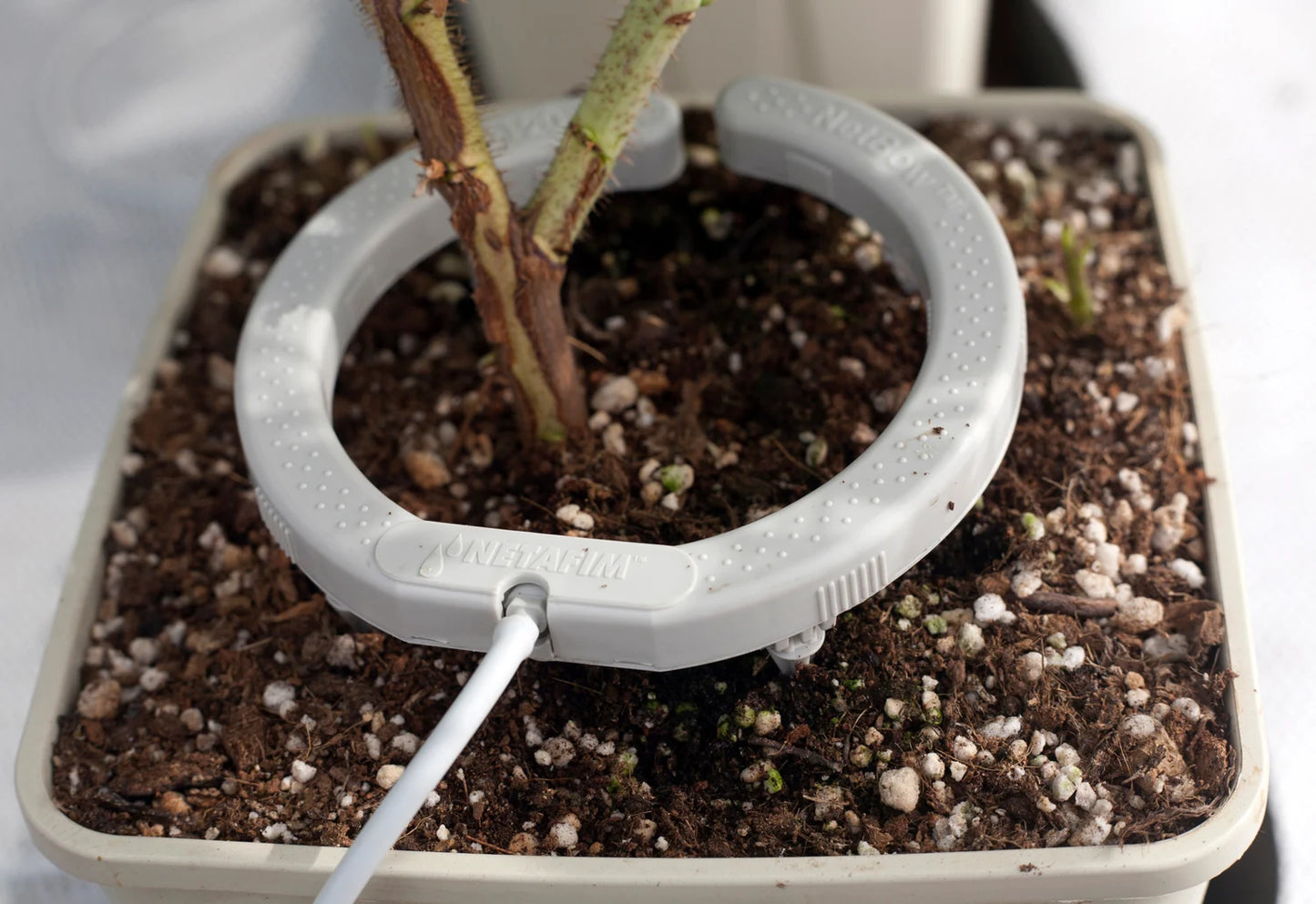 NetBow™ Drip Arch 12cm